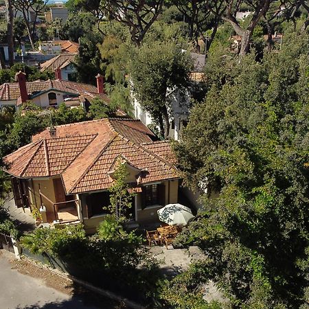 Exclusive Charming Villa - Free Parking 400 Mq Garden - Rome Airport - Roseto Villa Dream 프레제네 외부 사진