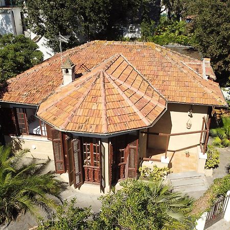 Exclusive Charming Villa - Free Parking 400 Mq Garden - Rome Airport - Roseto Villa Dream 프레제네 외부 사진