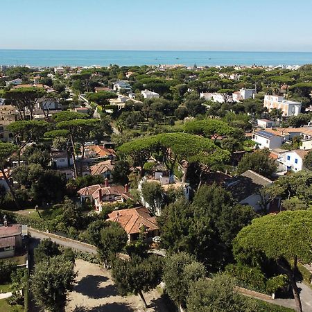 Exclusive Charming Villa - Free Parking 400 Mq Garden - Rome Airport - Roseto Villa Dream 프레제네 외부 사진